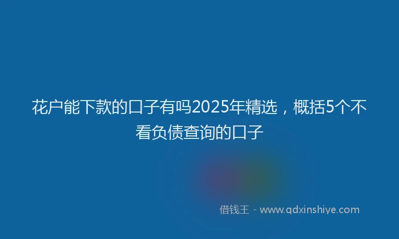 花户能下款的口子有吗2025年精选，概括5个不看负债查询的口子