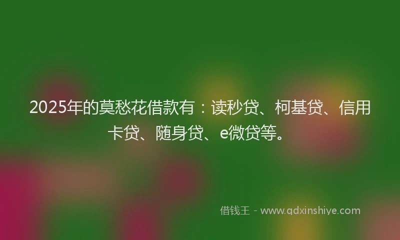 2025年的莫愁花借款有：读秒贷、柯基贷、信用卡贷、随身贷、e微贷等。
