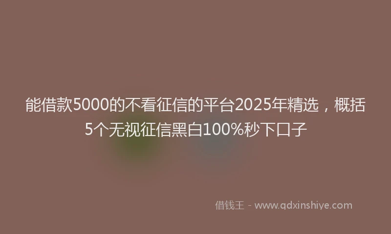 能借款5000的不看征信的平台2025年精选，概括5个无视征信黑白100%秒下口子