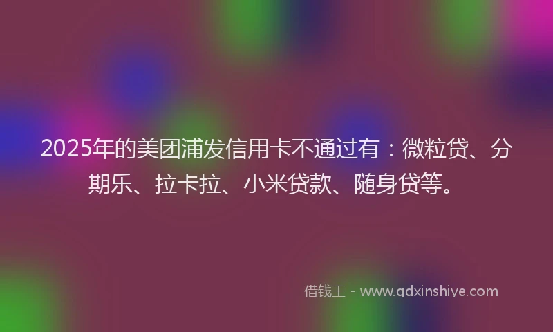 2025年的美团浦发信用卡不通过有：微粒贷、分期乐、拉卡拉、小米贷款、随身贷等。