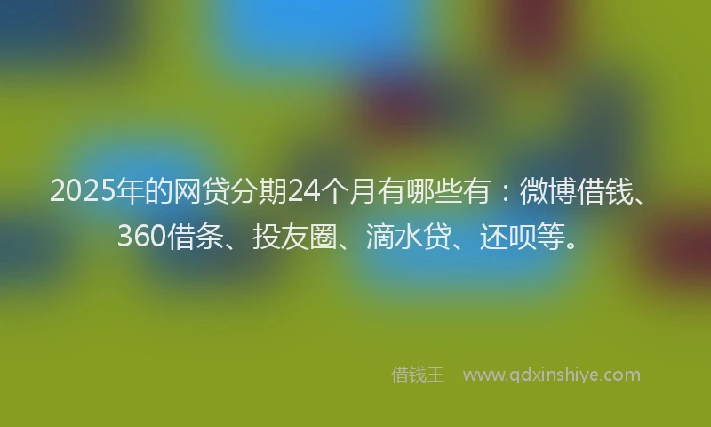 2025年的网贷分期24个月有哪些有：微博借钱、360借条、投友圈、滴水贷、还呗等。