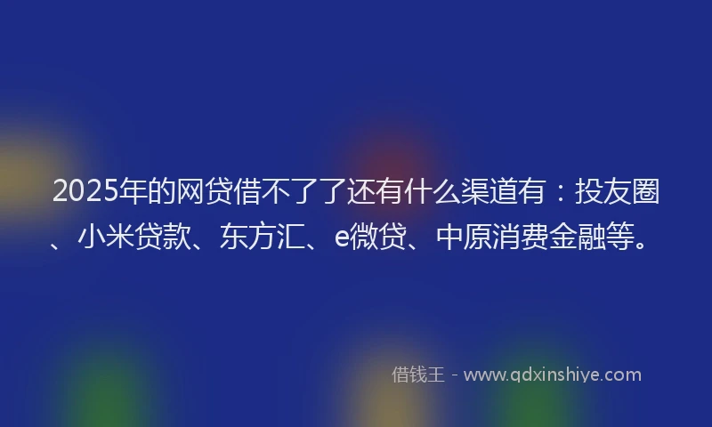 2025年的网贷借不了了还有什么渠道有：投友圈、小米贷款、东方汇、e微贷、中原消费金融等。