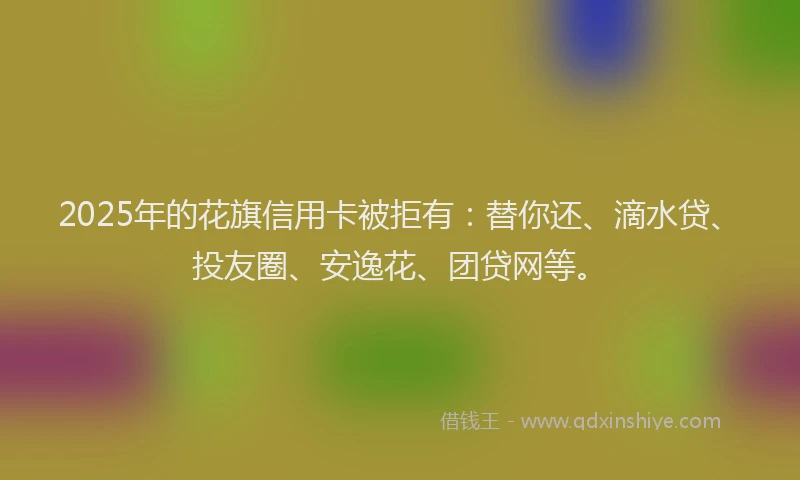2025年的花旗信用卡被拒有：替你还、滴水贷、投友圈、安逸花、团贷网等。