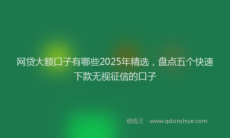 网贷大额口子有哪些2025年精选，盘点五个快速下款无视征信的口子