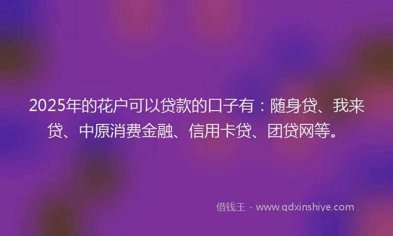2025年的花户可以贷款的口子有：随身贷、我来贷、中原消费金融、信用卡贷、团贷网等。
