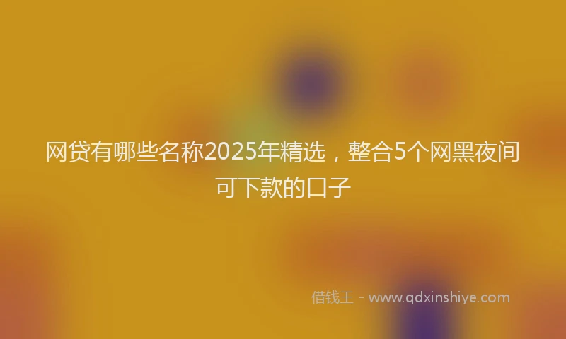 网贷有哪些名称2025年精选，整合5个网黑夜间可下款的口子