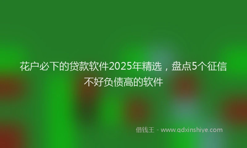 花户必下的贷款软件2025年精选，盘点5个征信不好负债高的软件