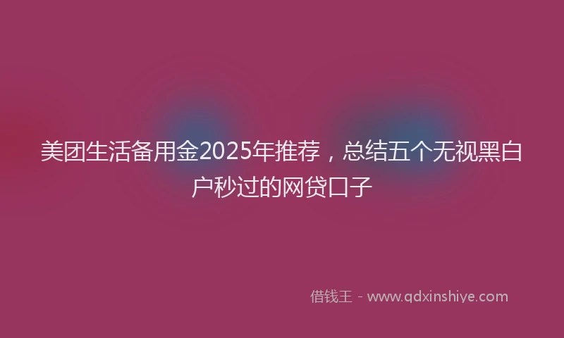美团生活备用金2025年推荐，总结五个无视黑白户秒过的网贷口子
