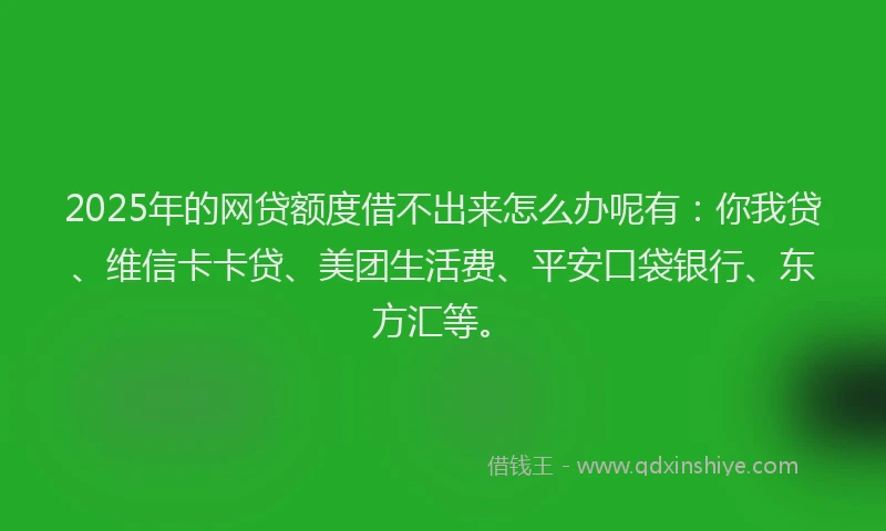 2025年的网贷额度借不出来怎么办呢有：你我贷、维信卡卡贷、美团生活费、平安口袋银行、东方汇等。