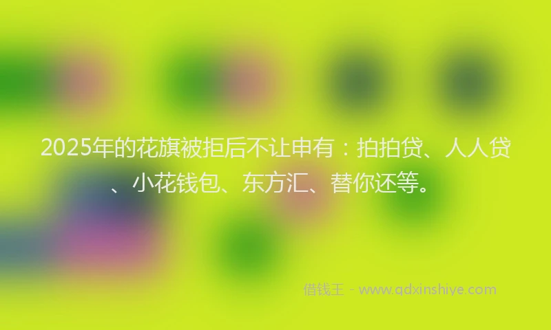 2025年的花旗被拒后不让申有：拍拍贷、人人贷、小花钱包、东方汇、替你还等。