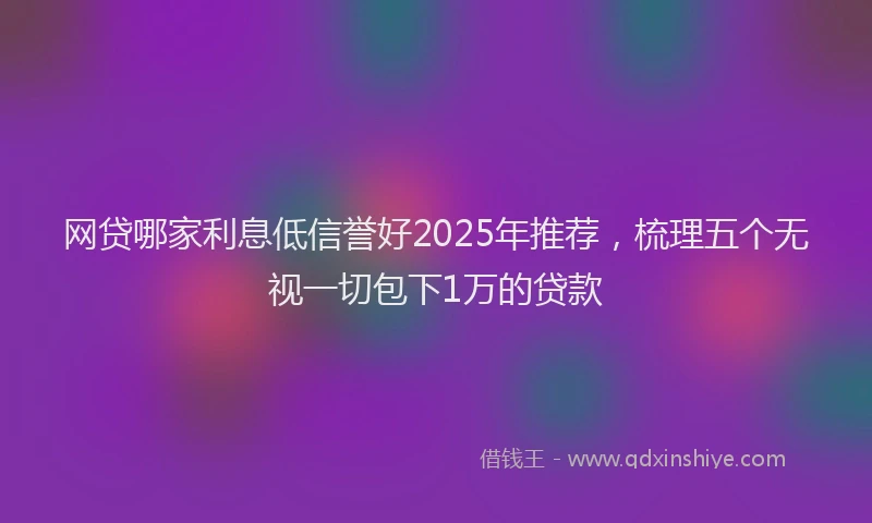 网贷哪家利息低信誉好2025年推荐，梳理五个无视一切包下1万的贷款