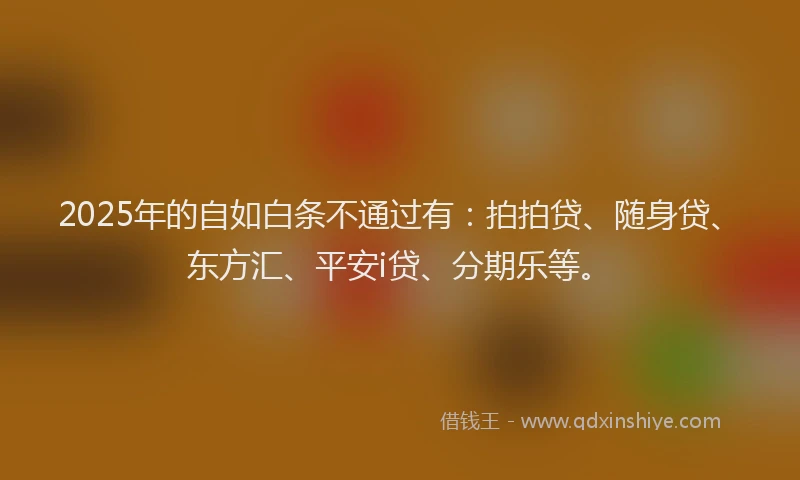 2025年的自如白条不通过有：拍拍贷、随身贷、东方汇、平安i贷、分期乐等。