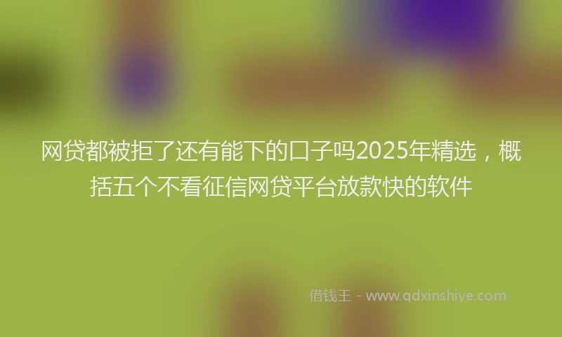 网贷都被拒了还有能下的口子吗2025年精选，概括五个不看征信网贷平台放款快的软件