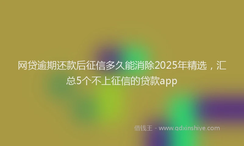 网贷逾期还款后征信多久能消除2025年精选，汇总5个不上征信的贷款app