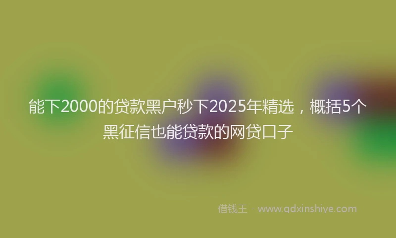 能下2000的贷款黑户秒下2025年精选，概括5个黑征信也能贷款的网贷口子
