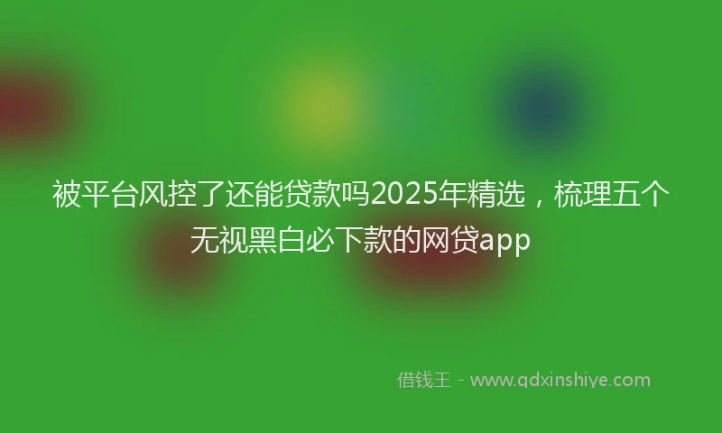 被平台风控了还能贷款吗2025年精选，梳理五个无视黑白必下款的网贷app