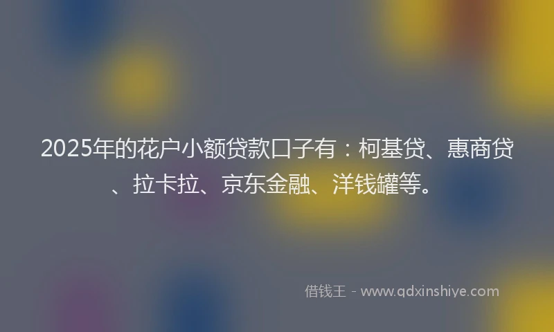 2025年的花户小额贷款口子有：柯基贷、惠商贷、拉卡拉、京东金融、洋钱罐等。