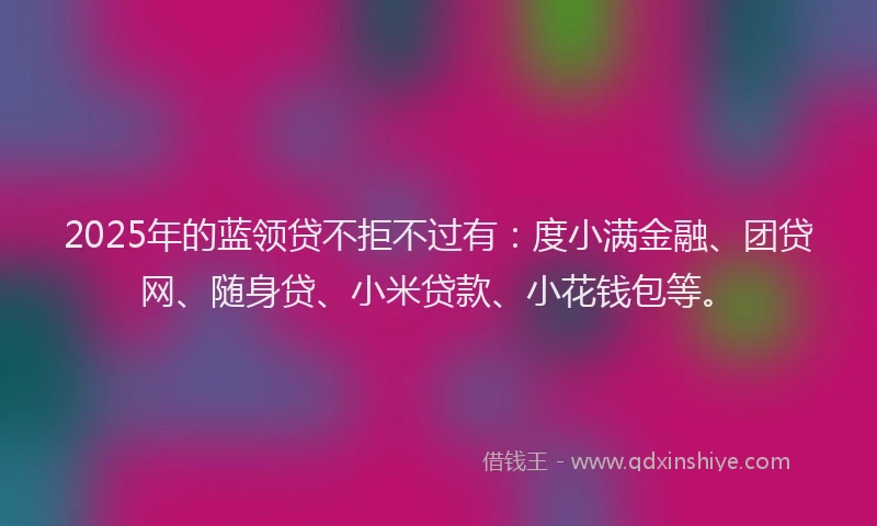 2025年的蓝领贷不拒不过有：度小满金融、团贷网、随身贷、小米贷款、小花钱包等。