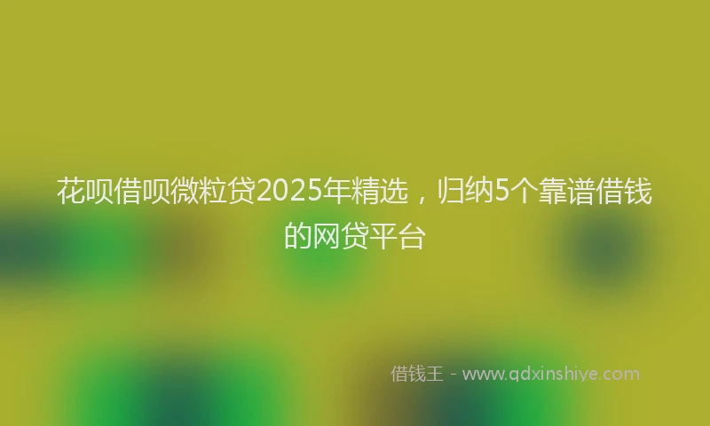花呗借呗微粒贷2025年精选，归纳5个靠谱借钱的网贷平台