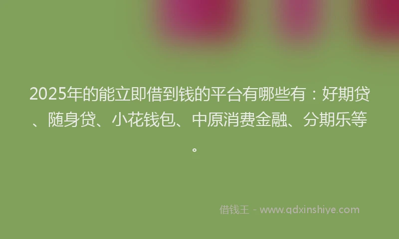 2025年的能立即借到钱的平台有哪些有：好期贷、随身贷、小花钱包、中原消费金融、分期乐等。