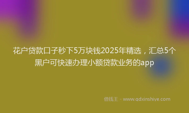 花户贷款口子秒下5万块钱2025年精选，汇总5个黑户可快速办理小额贷款业务的app