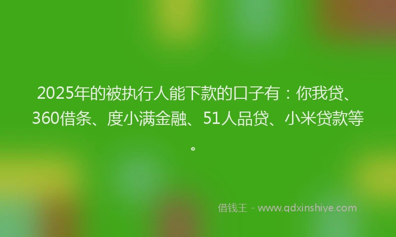 2025年的被执行人能下款的口子有：你我贷、360借条、度小满金融、51人品贷、小米贷款等。