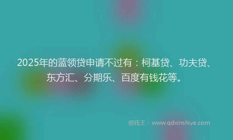 2025年的蓝领贷申请不过有：柯基贷、功夫贷、东方汇、分期乐、百度有钱花等。