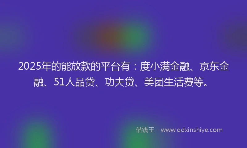 2025年的能放款的平台有：度小满金融、京东金融、51人品贷、功夫贷、美团生活费等。