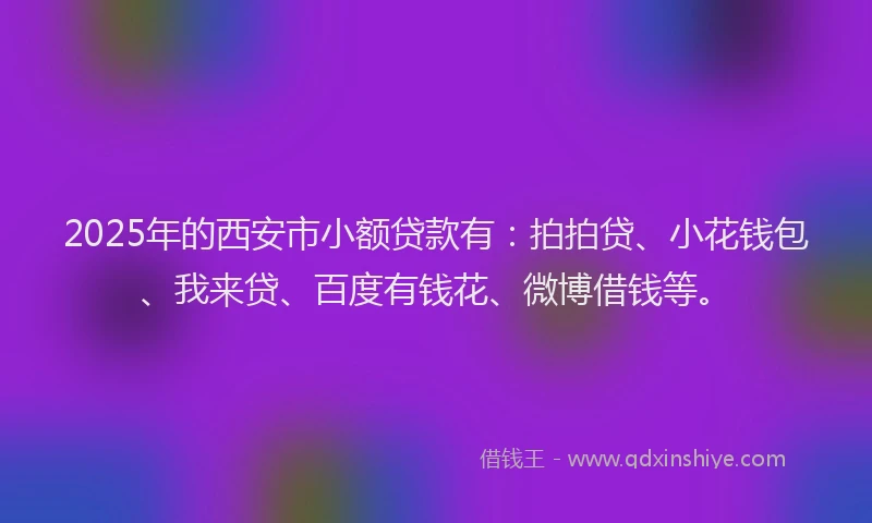 2025年的西安市小额贷款有：拍拍贷、小花钱包、我来贷、百度有钱花、微博借钱等。