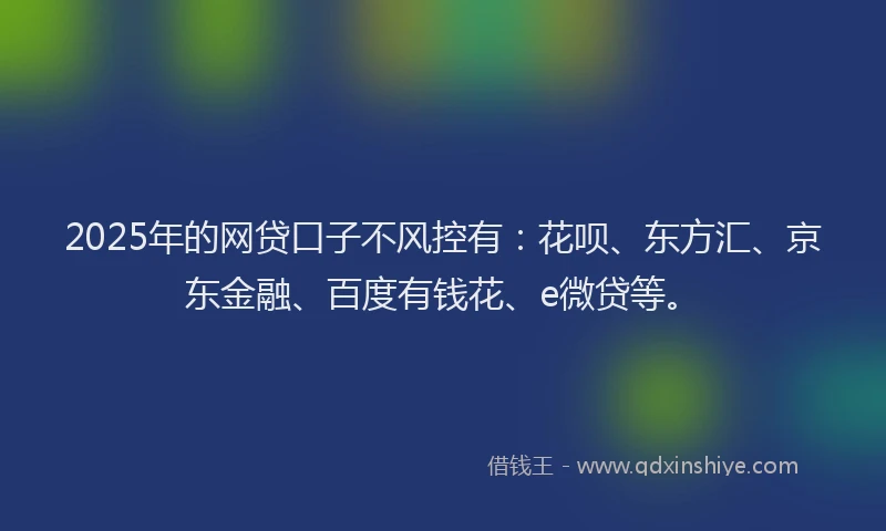 2025年的网贷口子不风控有：花呗、东方汇、京东金融、百度有钱花、e微贷等。