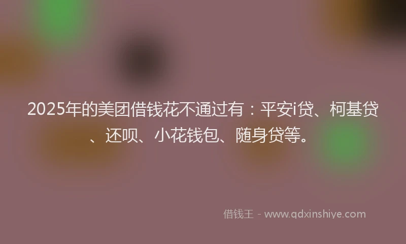 2025年的美团借钱花不通过有：平安i贷、柯基贷、还呗、小花钱包、随身贷等。