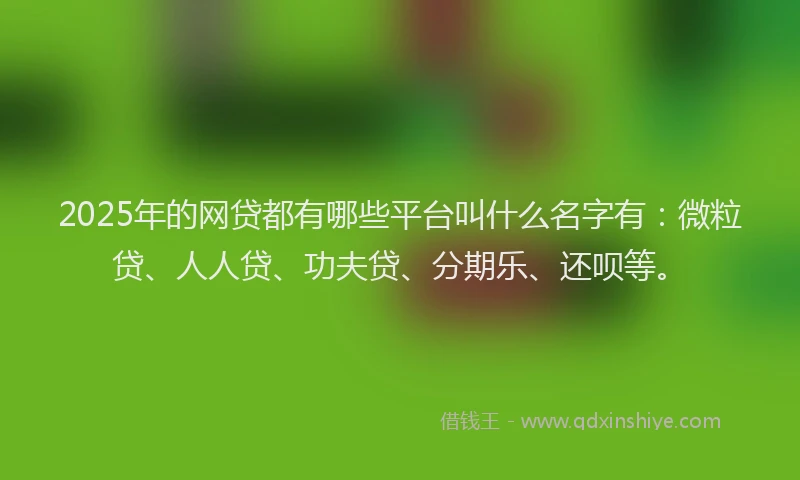 2025年的网贷都有哪些平台叫什么名字有：微粒贷、人人贷、功夫贷、分期乐、还呗等。