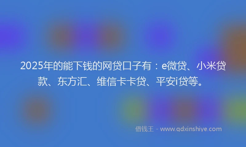 2025年的能下钱的网贷口子有：e微贷、小米贷款、东方汇、维信卡卡贷、平安i贷等。