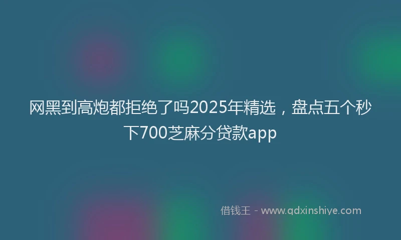 网黑到高炮都拒绝了吗2025年精选，盘点五个秒下700芝麻分贷款app