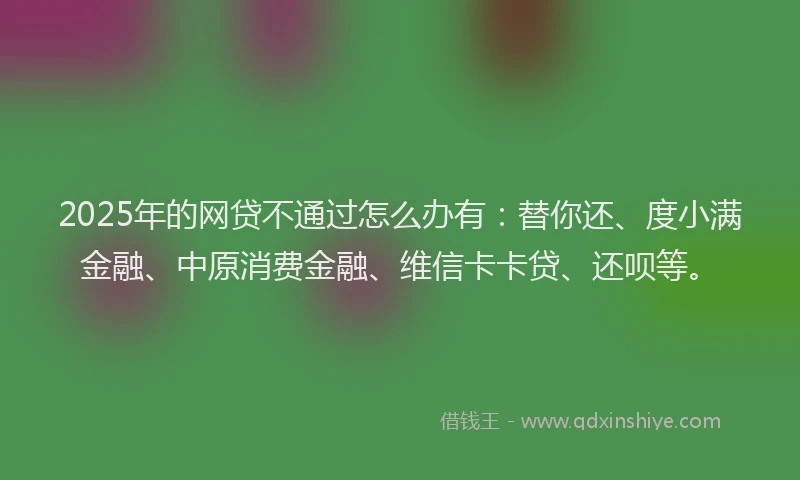 2025年的网贷不通过怎么办有：替你还、度小满金融、中原消费金融、维信卡卡贷、还呗等。