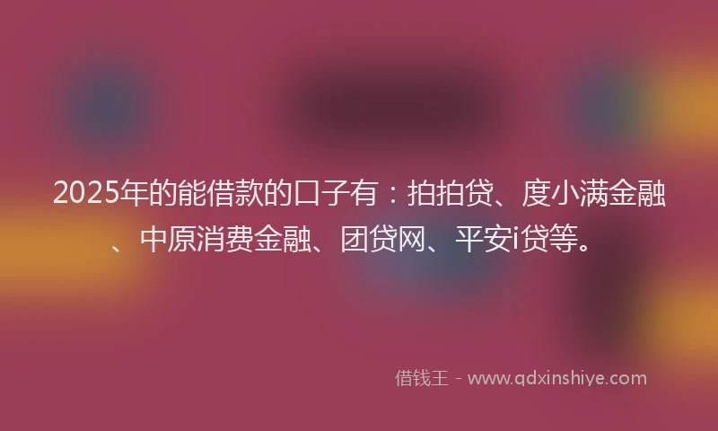 2025年的能借款的口子有：拍拍贷、度小满金融、中原消费金融、团贷网、平安i贷等。