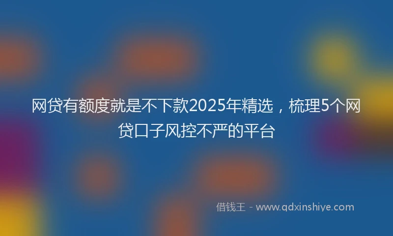 网贷有额度就是不下款2025年精选，梳理5个网贷口子风控不严的平台