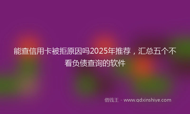 能查信用卡被拒原因吗2025年推荐，汇总五个不看负债查询的软件