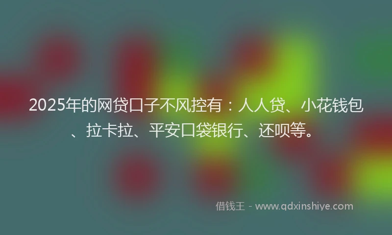 2025年的网贷口子不风控有：人人贷、小花钱包、拉卡拉、平安口袋银行、还呗等。