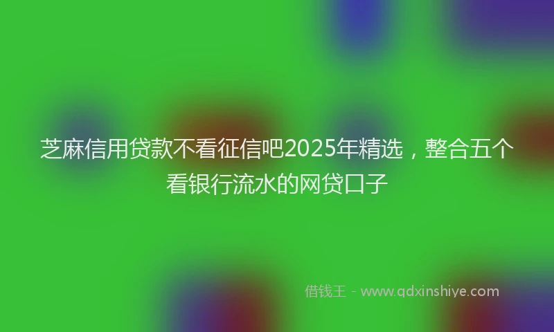 芝麻信用贷款不看征信吧2025年精选，整合五个看银行流水的网贷口子