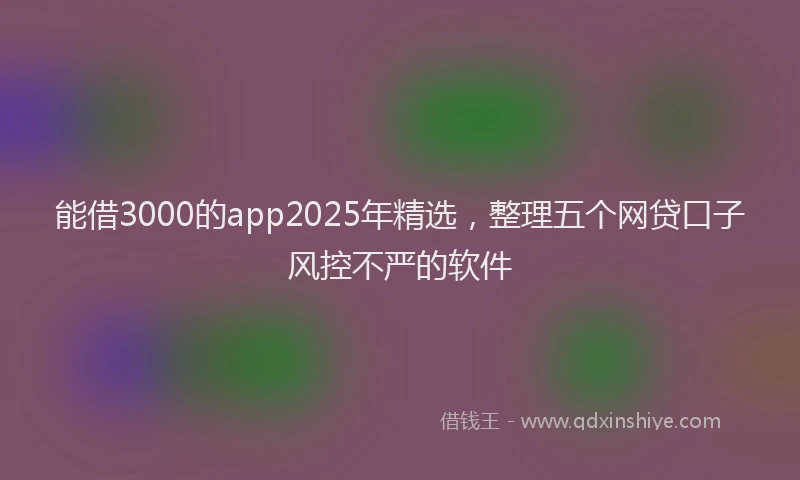能借3000的app2025年精选，整理五个网贷口子风控不严的软件