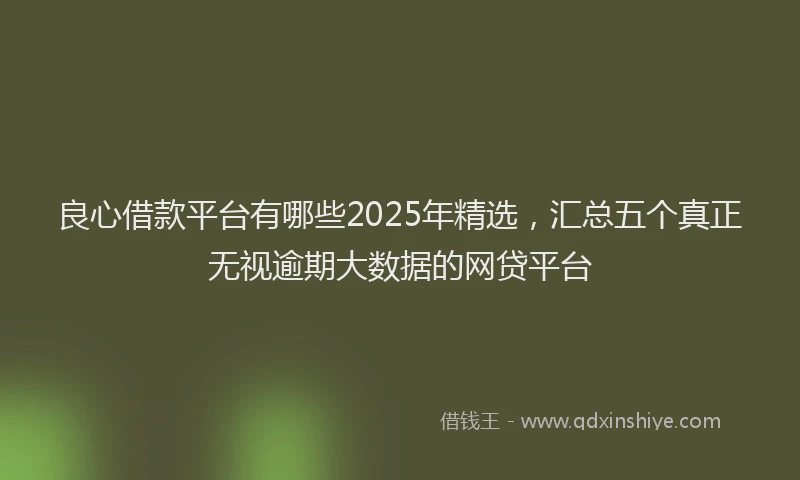 良心借款平台有哪些2025年精选，汇总五个真正无视逾期大数据的网贷平台