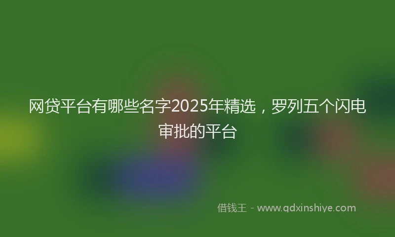 网贷平台有哪些名字2025年精选，罗列五个闪电审批的平台