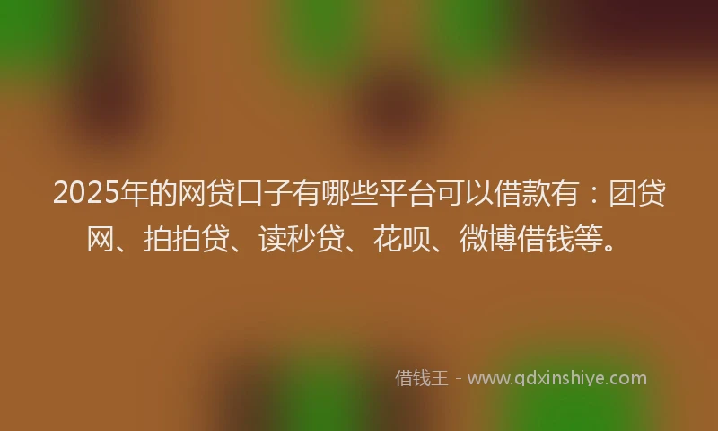 2025年的网贷口子有哪些平台可以借款有：团贷网、拍拍贷、读秒贷、花呗、微博借钱等。