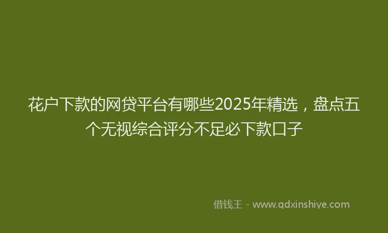 花户下款的网贷平台有哪些2025年精选，盘点五个无视综合评分不足必下款口子