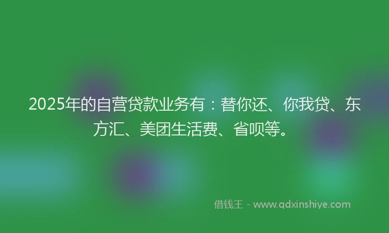 2025年的自营贷款业务有：替你还、你我贷、东方汇、美团生活费、省呗等。