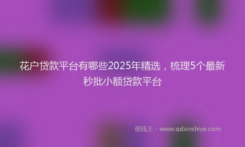 花户贷款平台有哪些2025年精选，梳理5个最新秒批小额贷款平台