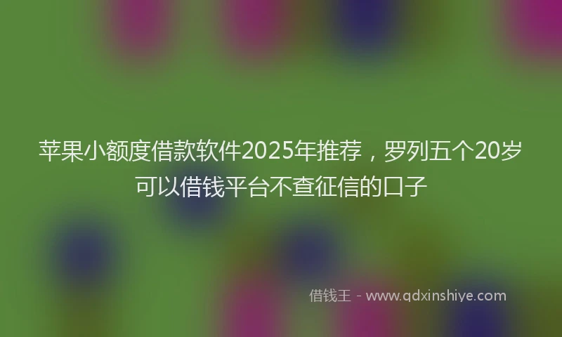 苹果小额度借款软件2025年推荐，罗列五个20岁可以借钱平台不查征信的口子