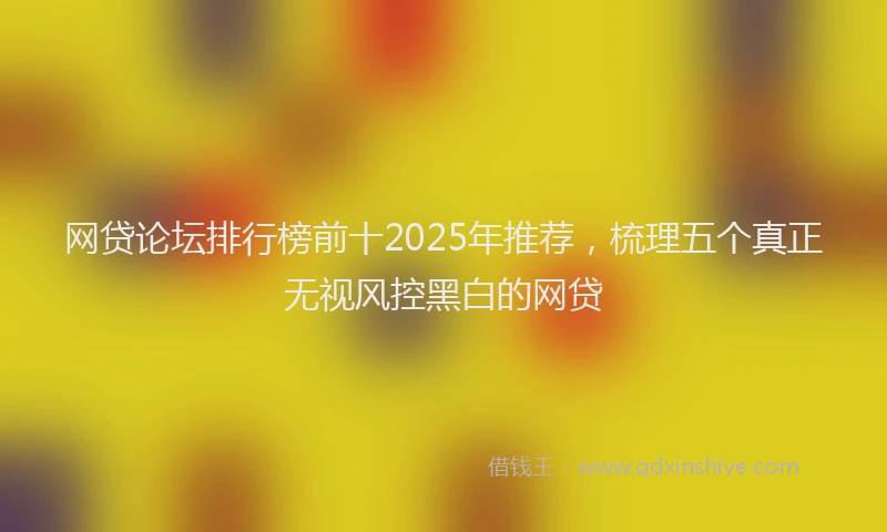 网贷论坛排行榜前十2025年推荐，梳理五个真正无视风控黑白的网贷