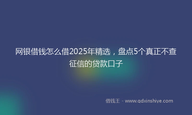 网银借钱怎么借2025年精选，盘点5个真正不查征信的贷款口子
